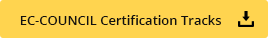 ethical hacking in delhi